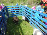 Velikonoce ve školce